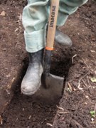 Double digging a garden bed.