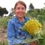 Woman in a blue shirt standing in a community garden holding a freshly picked sunflower