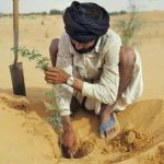 Indigenous man re-greening a section of desert as part of a climate change action plan.