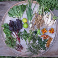 A large round tray with freshly picked vegetables