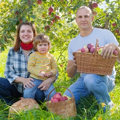 Farm Family With Apples