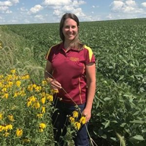 Prarie Strips with Woman Farmer 300