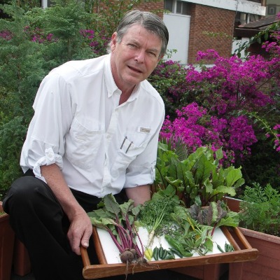 Tim Magee's first harvest from rooftop garden.