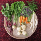 Harvest photo of root crops from Tim Magee's garden.