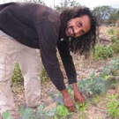 Rishi Kumar, Sarvodaya Farms