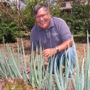 Tim Constantine with his onions.